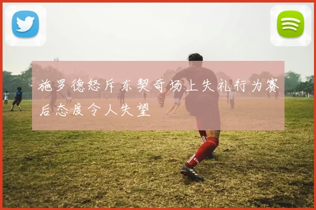施罗德怒斥东契奇场上失礼行为赛后态度令人失望