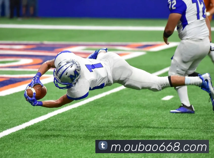 欧宝平台平台生态图